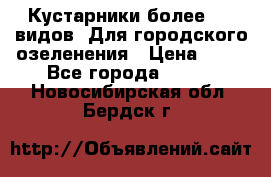 Кустарники более 100 видов. Для городского озеленения › Цена ­ 70 - Все города  »    . Новосибирская обл.,Бердск г.